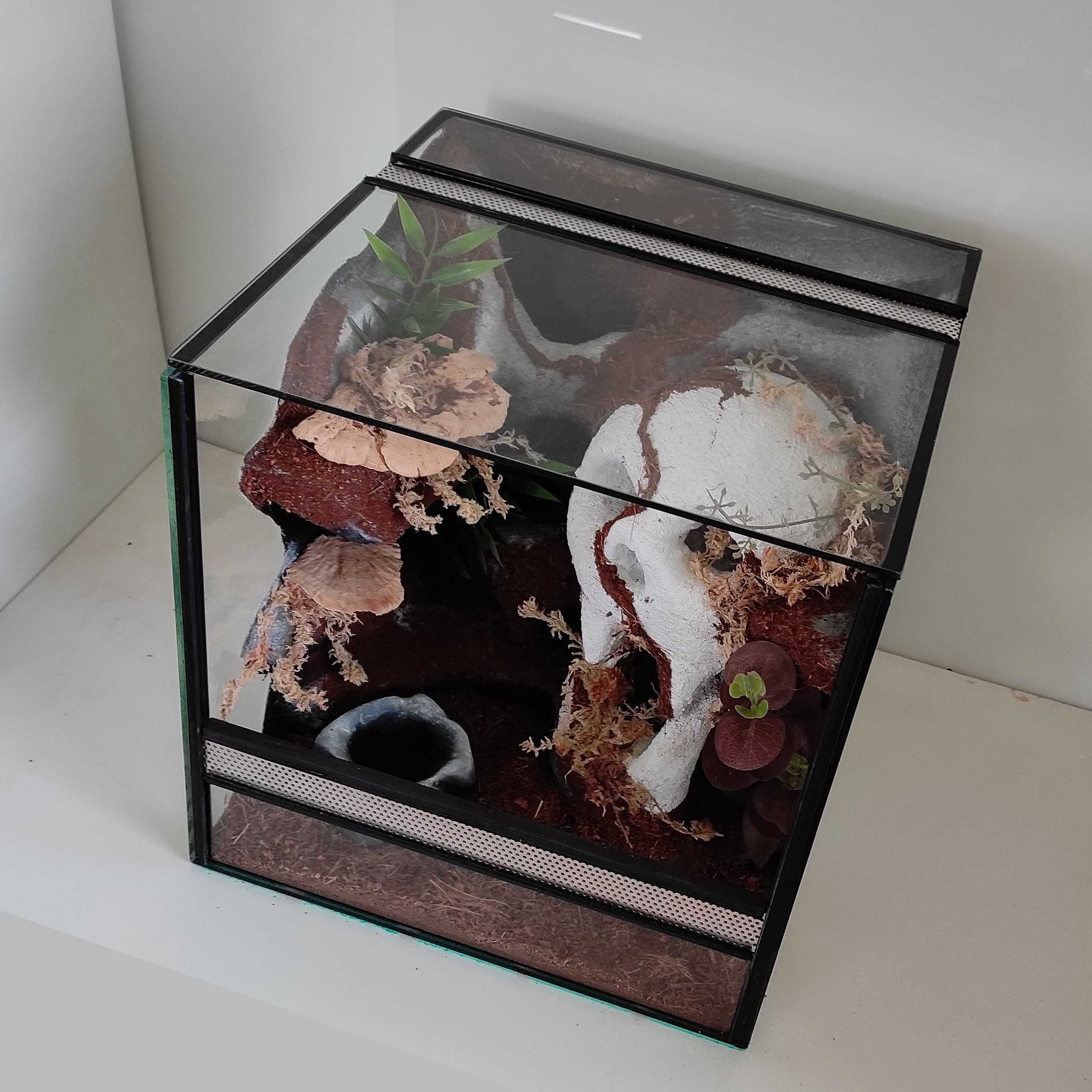 Terrarium dla ptasznika, lasiadory, TW16CzB, AquaWaves