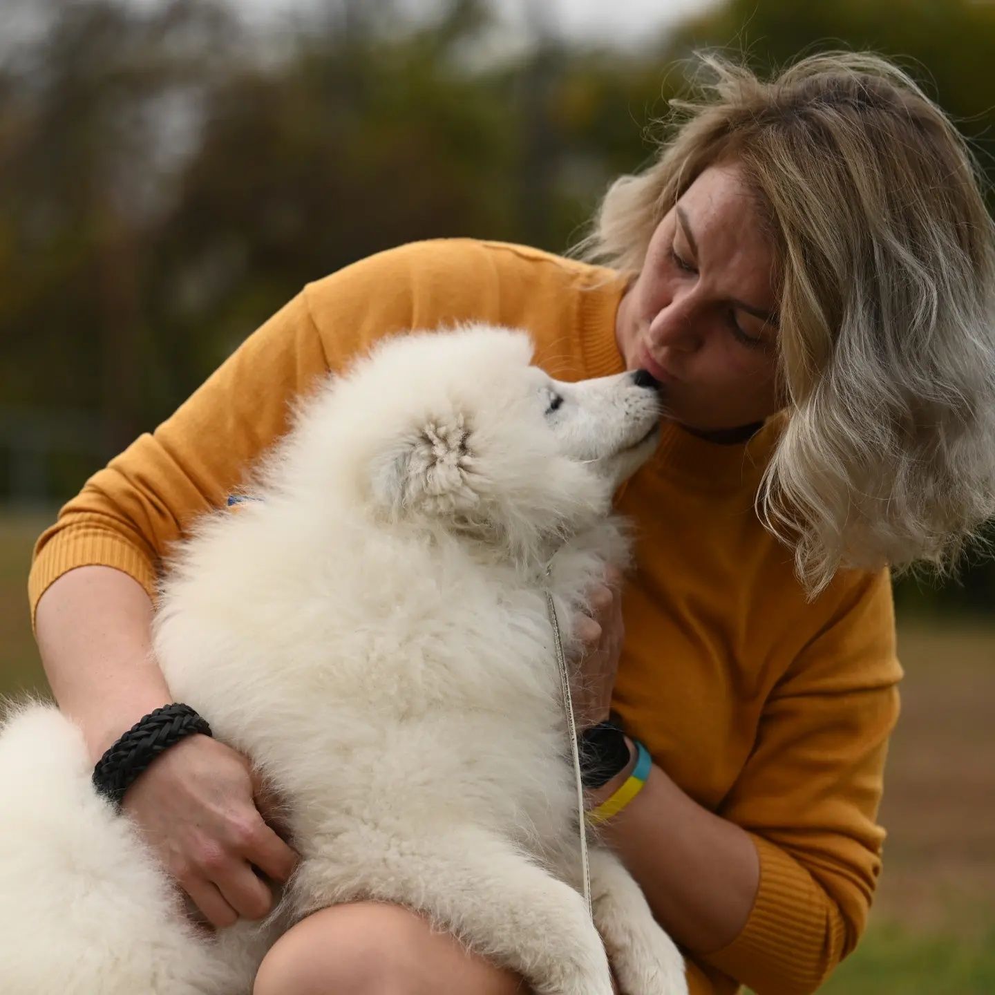 Самоїд, Самоед,Samoyed