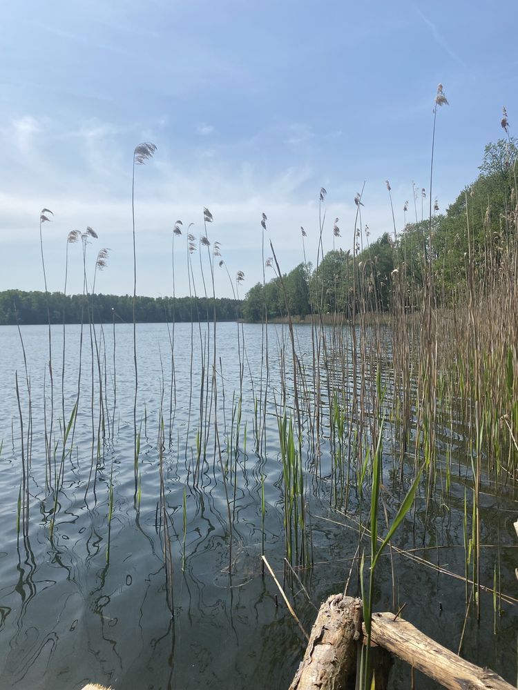 Okoniny - dom nad jeziorem - Bory Tucholskie