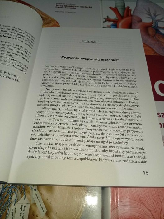 Uzdrawiająca osobowość H.  Friedman