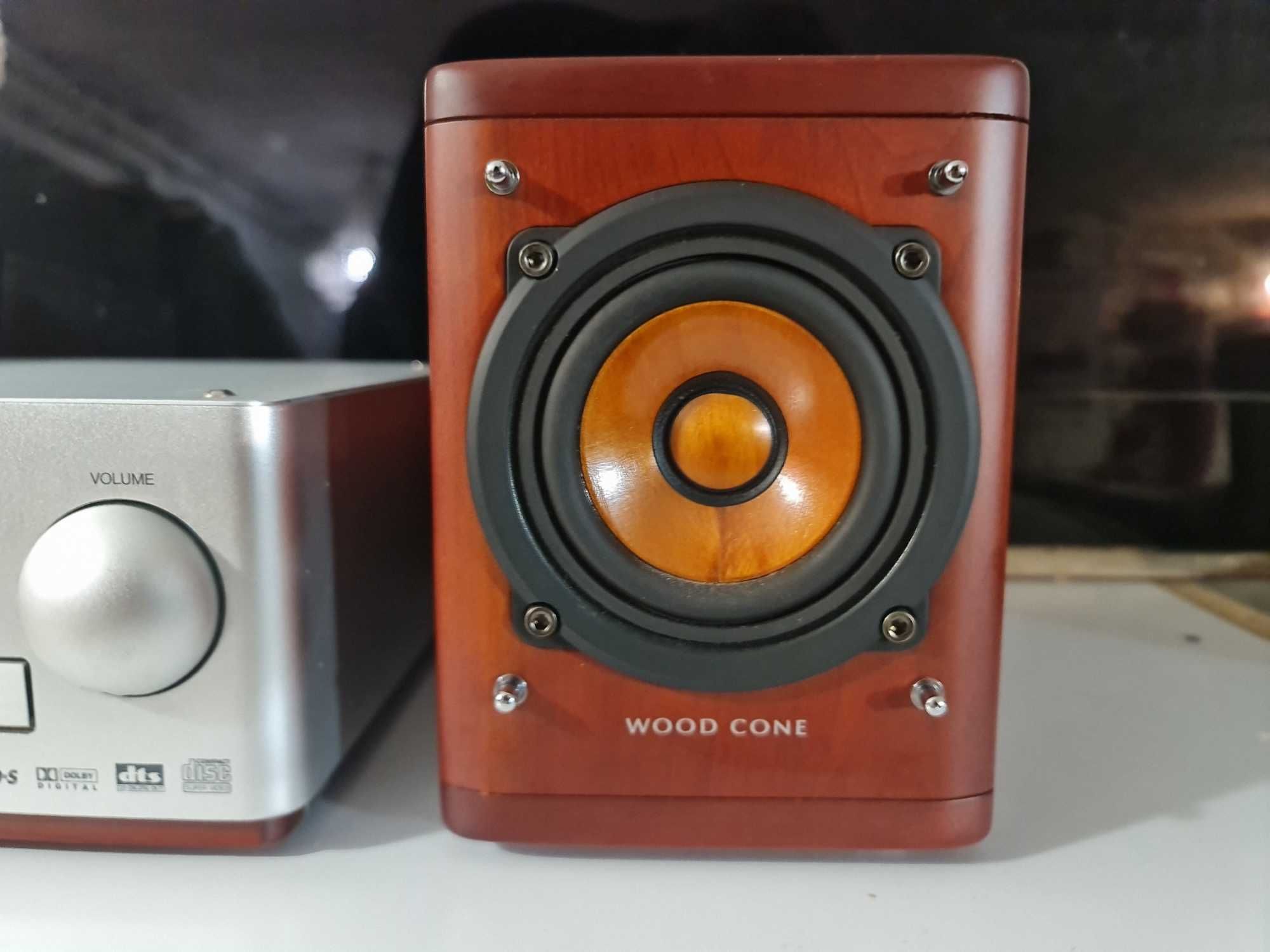 JVC EX-A1 kolumny rose wood