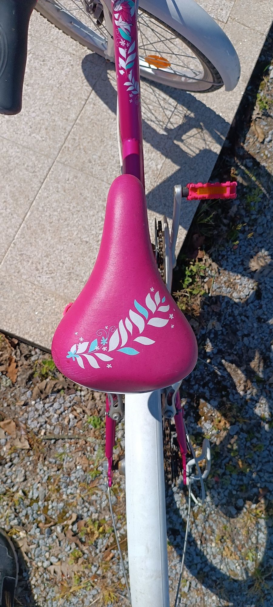 Bicicleta menina
