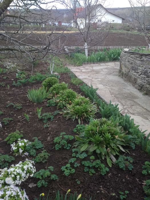 Два невеликих будинки  під дачу