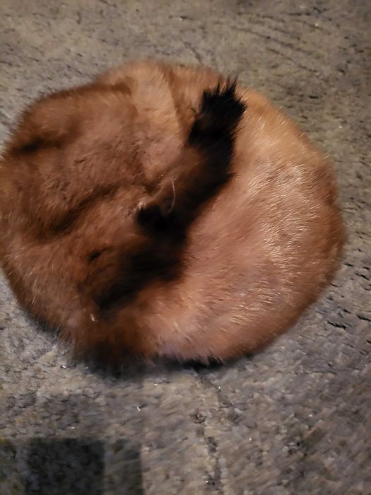 Beret futrzany brązowy ciepła czapka z futra na zimę