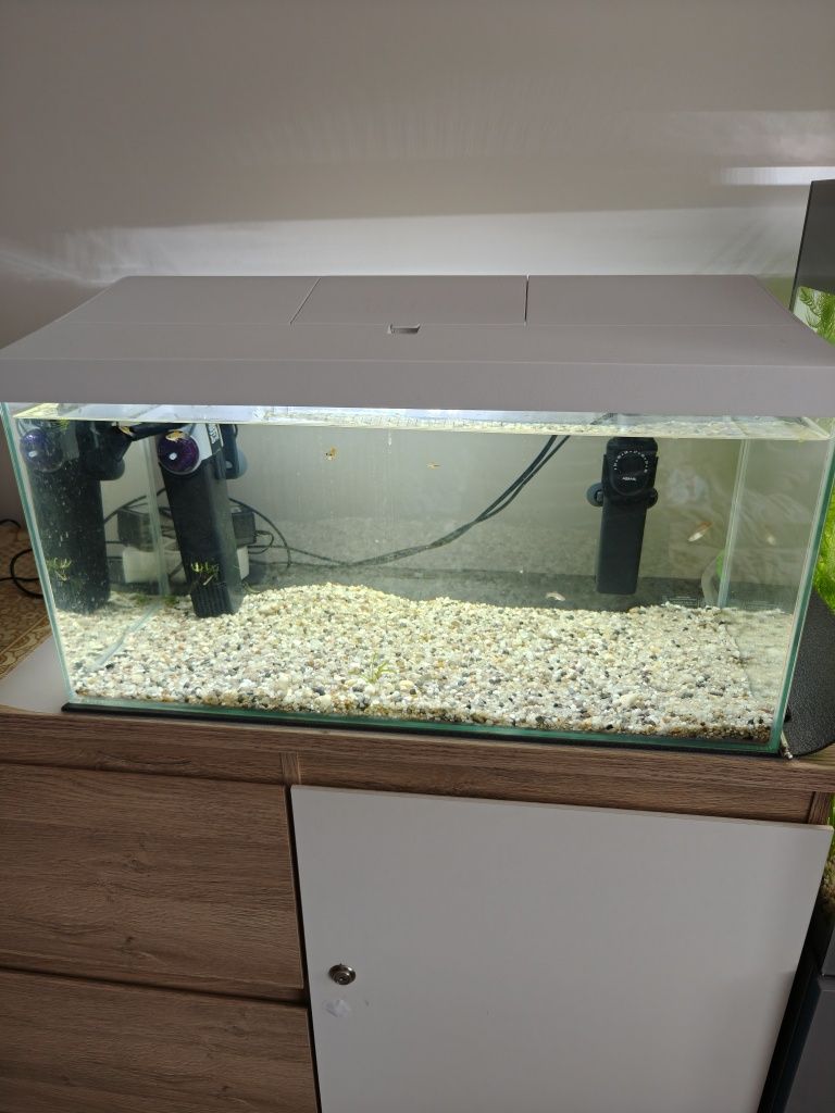Sprzedam akwarium Leddy 60