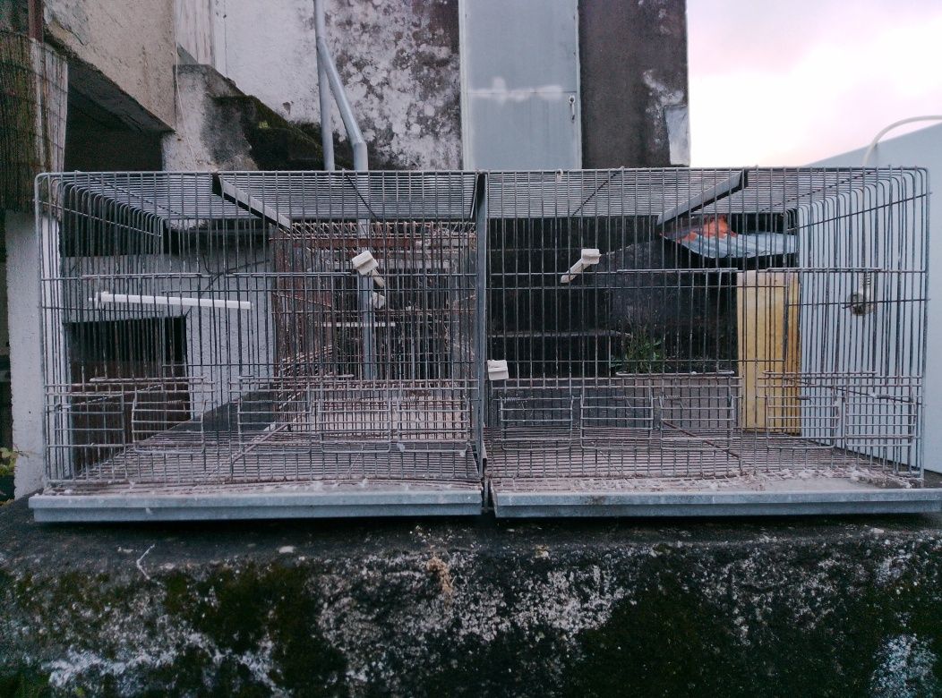 Várias Gaiolas para aves