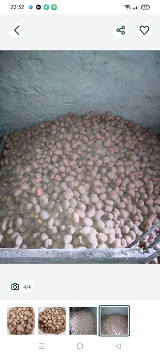 Продам дрібну картоплю.