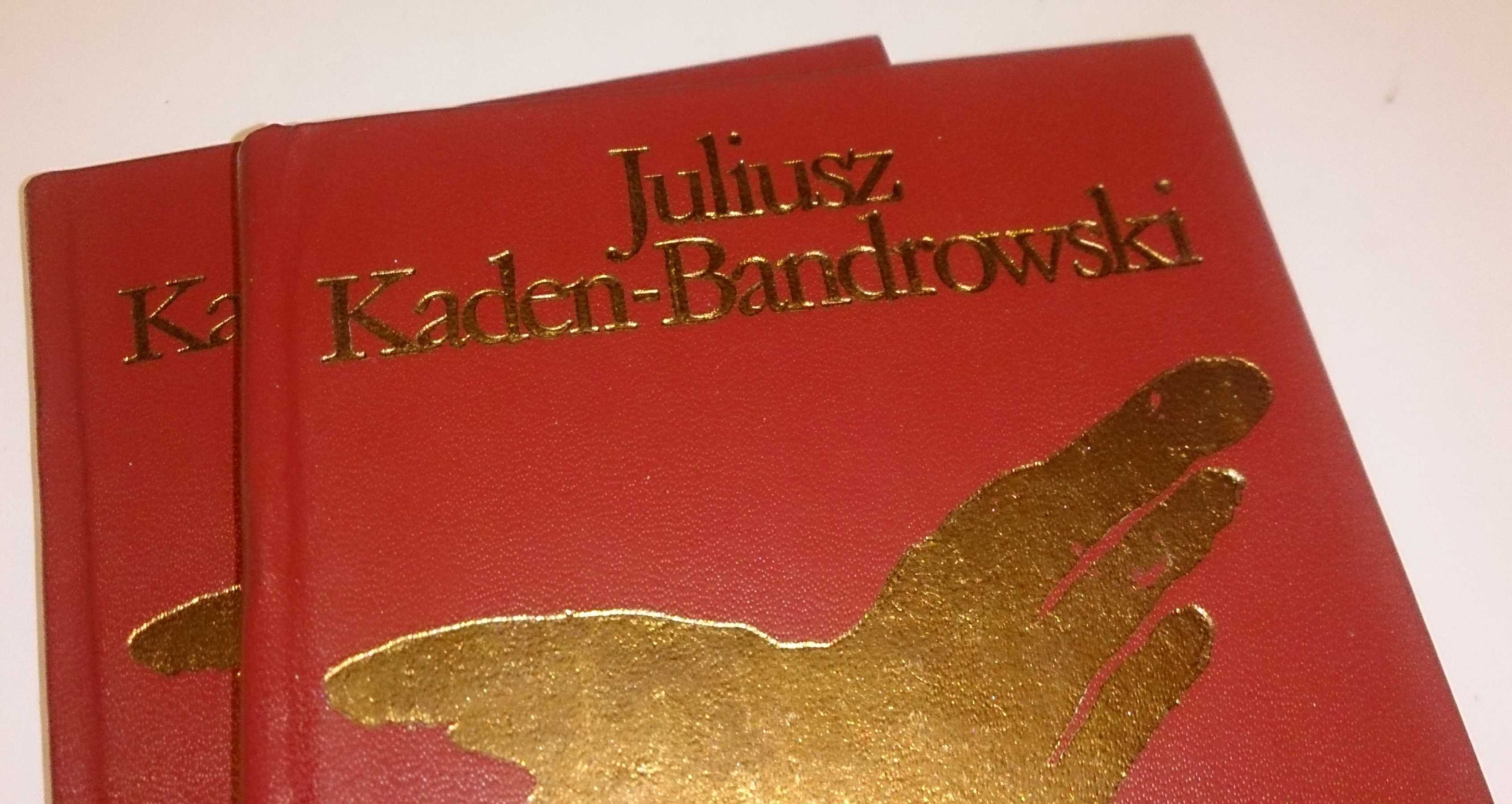 Juliusz Kaden-Bandrowski „Czarne Skrzydła”, WL, 1975 (Książka)
