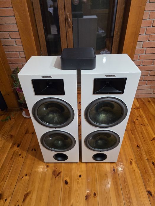 Tonsil Zeus DIY + Harman Kardon Citation Amp - Okazja !!