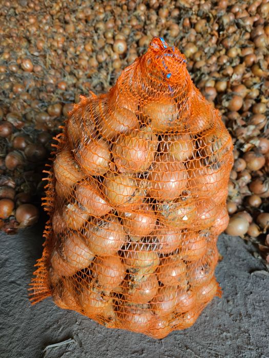 Cebula średnia handlowa 15kg