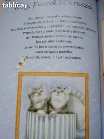 Historie kotków_książeczka z obrazkami dla dziecka