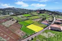 "Terreno dos Sonhos na Encantadora Calheta"