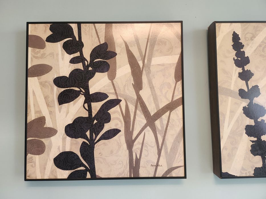 Obrazy  Melisa Pluch