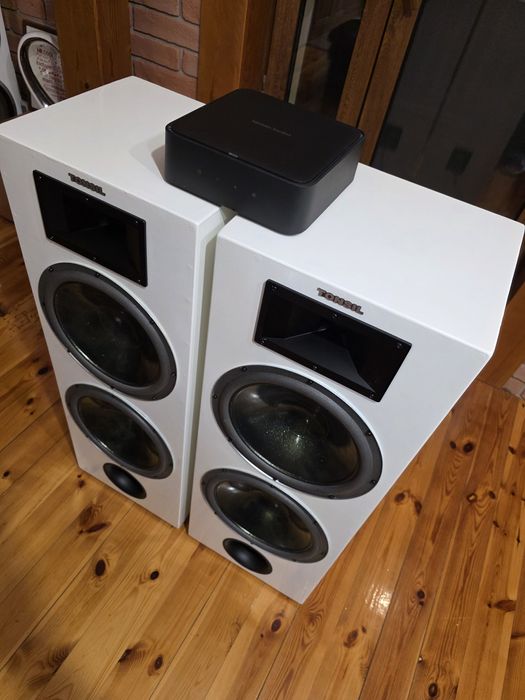 Tonsil Zeus DIY + Harman Kardon Citation Amp - Okazja !!