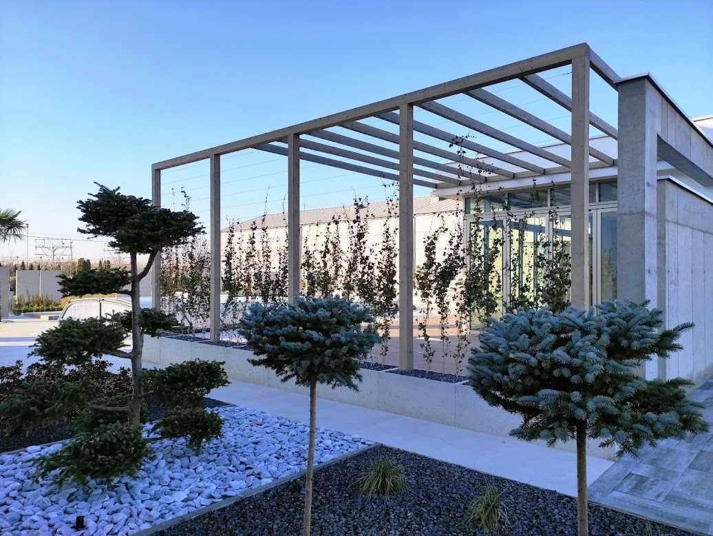 pergola z drewna klejonego BSH, zadaszenie tarasu, poliwęglan