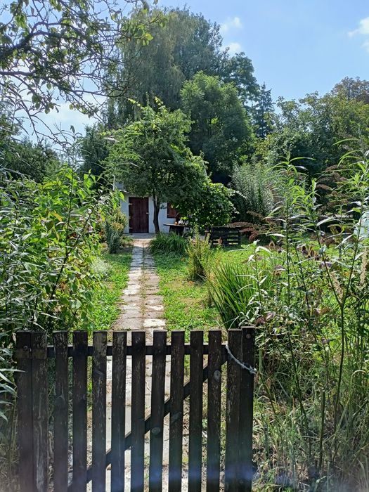 Ogródek działkowy ok. 1000m2