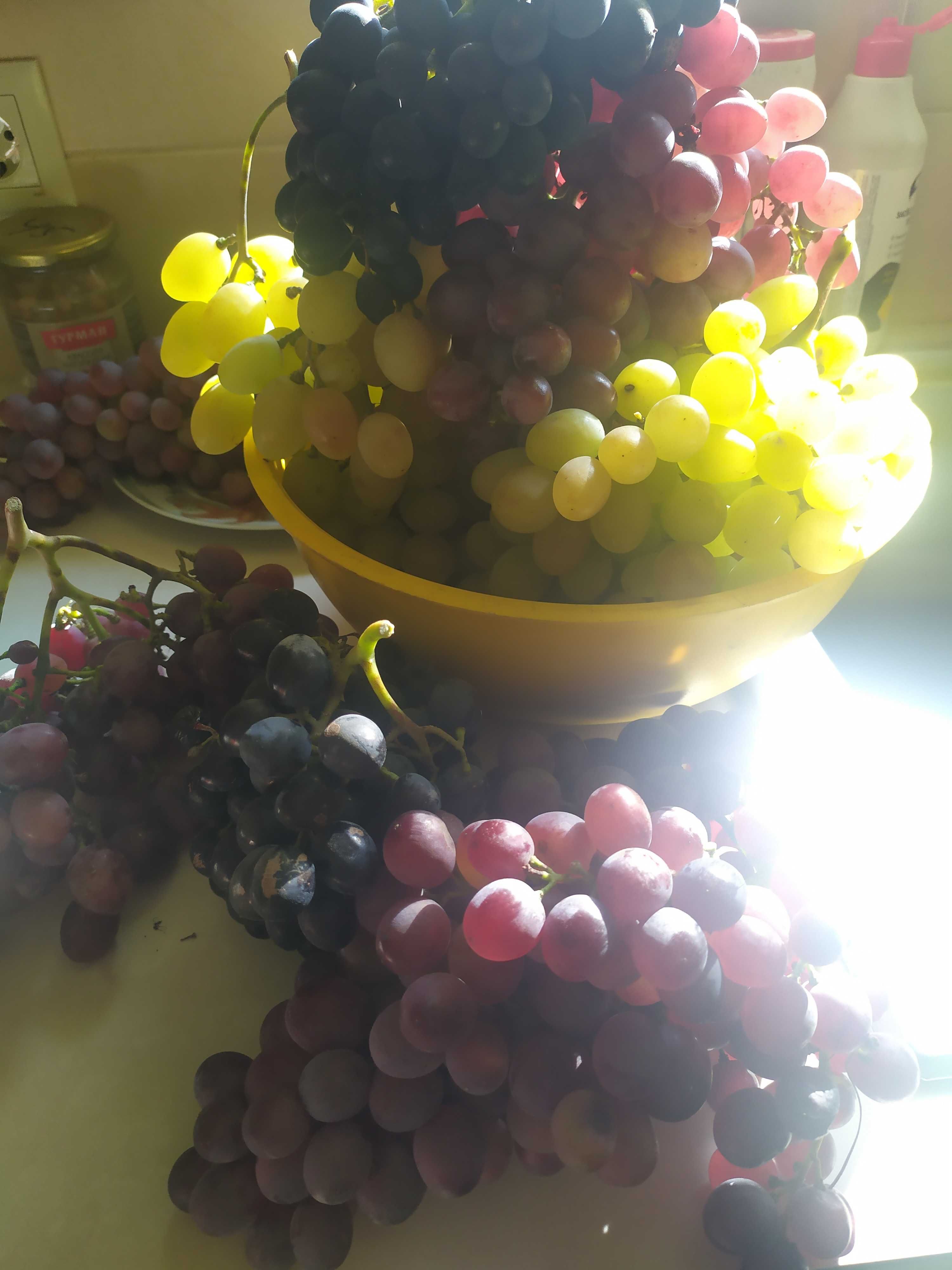 Продам саженцы,черенки винограда