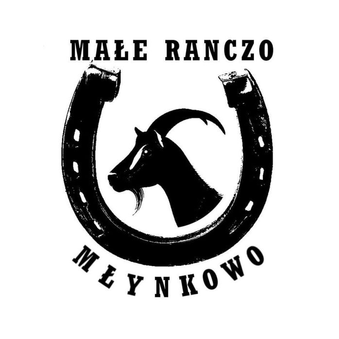 Mleko kozie i sery kozie DOWÓZ!