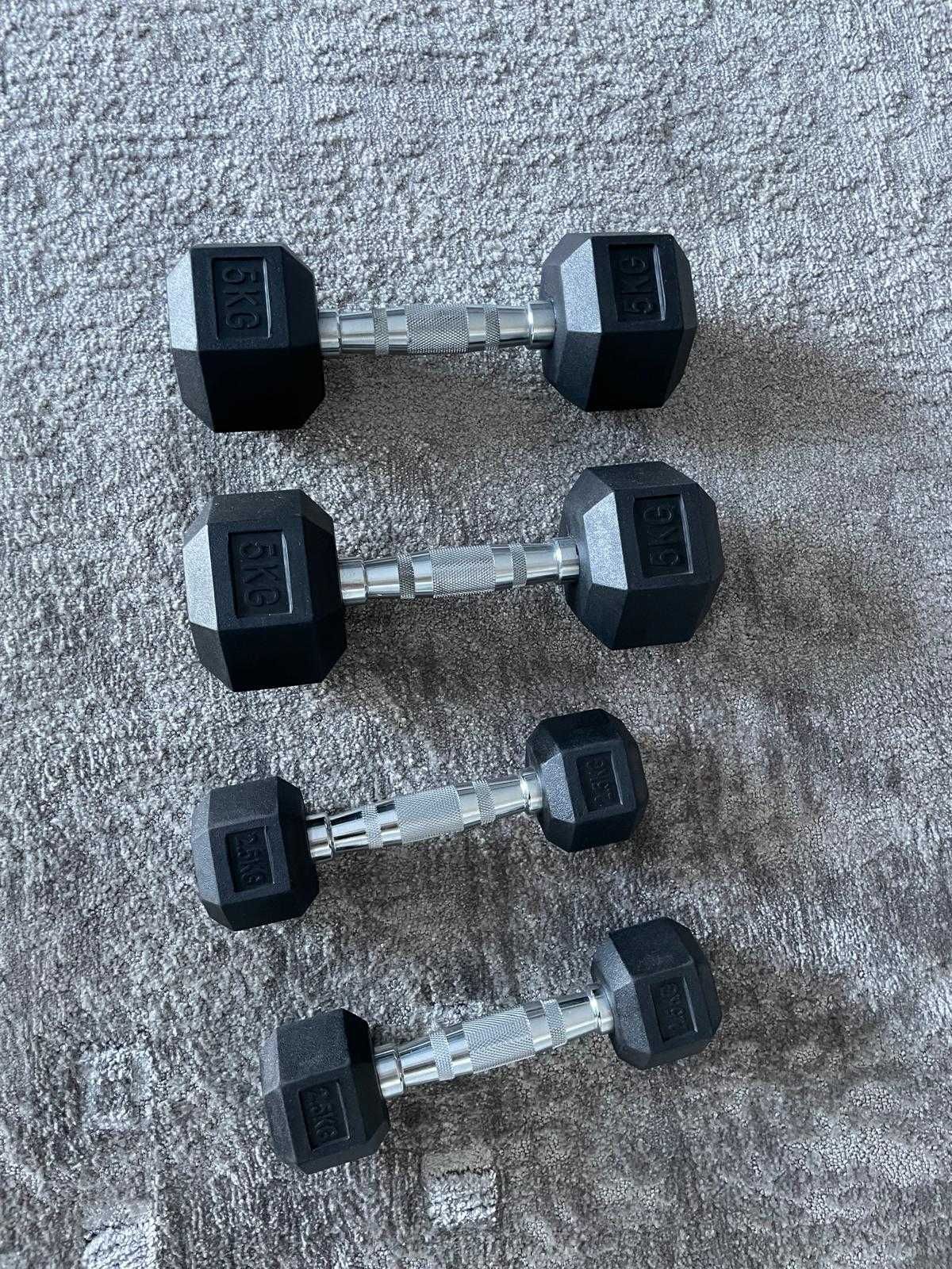 Halteres Hexagonais 5kg e 2.5kg