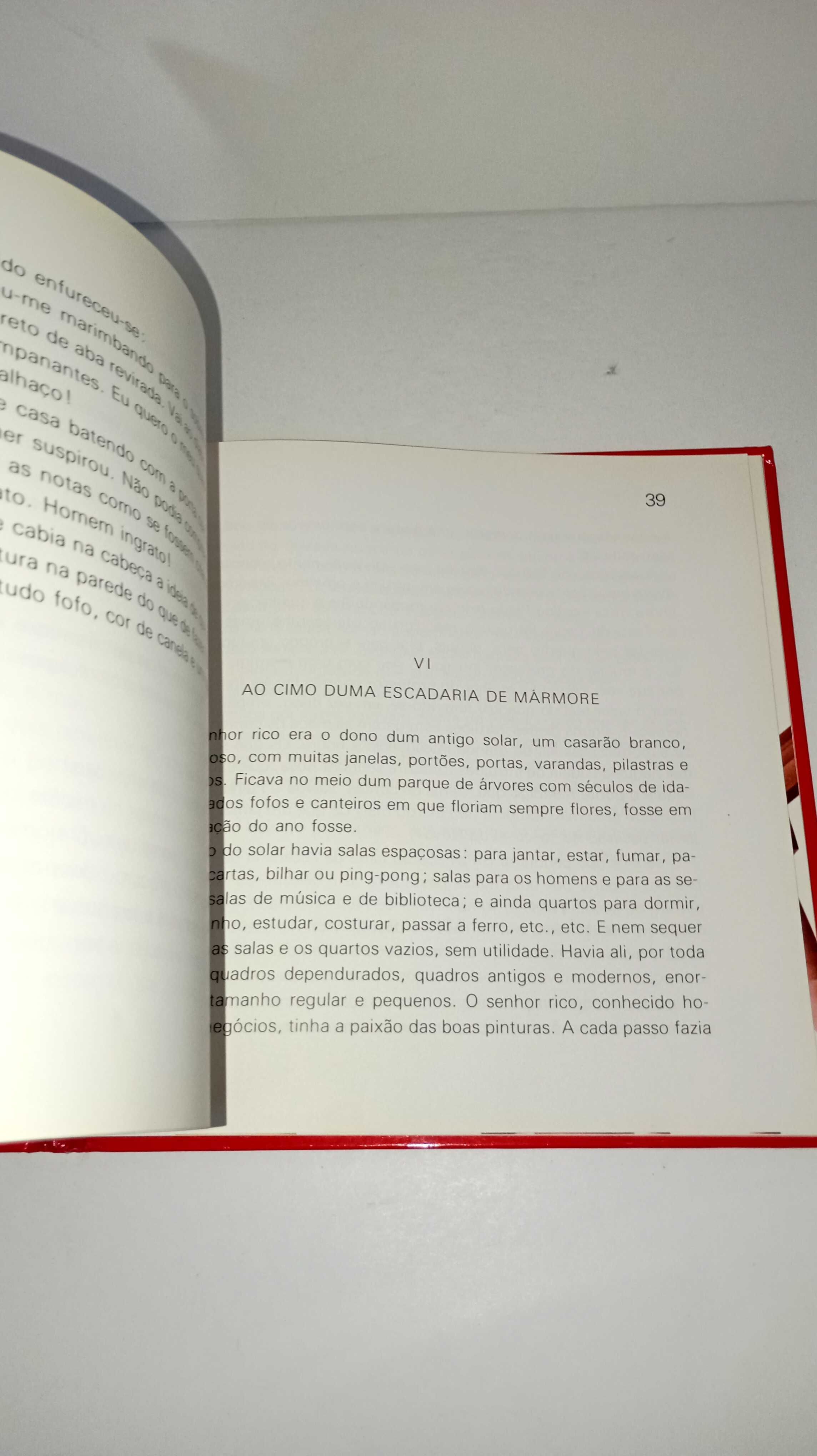 O Quadro Roubado - Ilse Losa