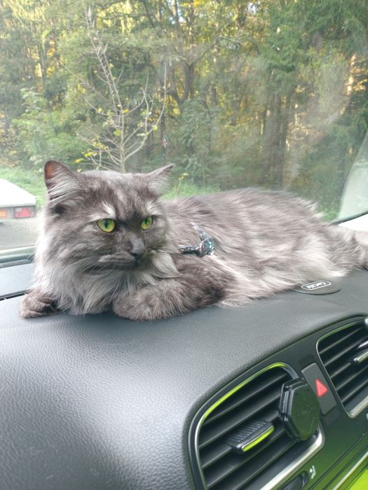 Трансфер Львів-Варшава