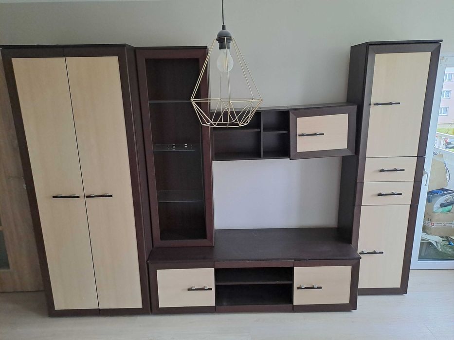 Mebloscianka czekoladowa