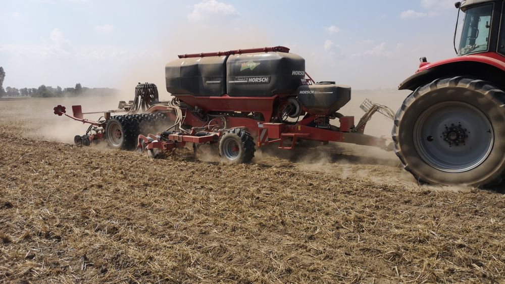 Siew zbóż  pasowy Strip-Till horsch FOCUS
