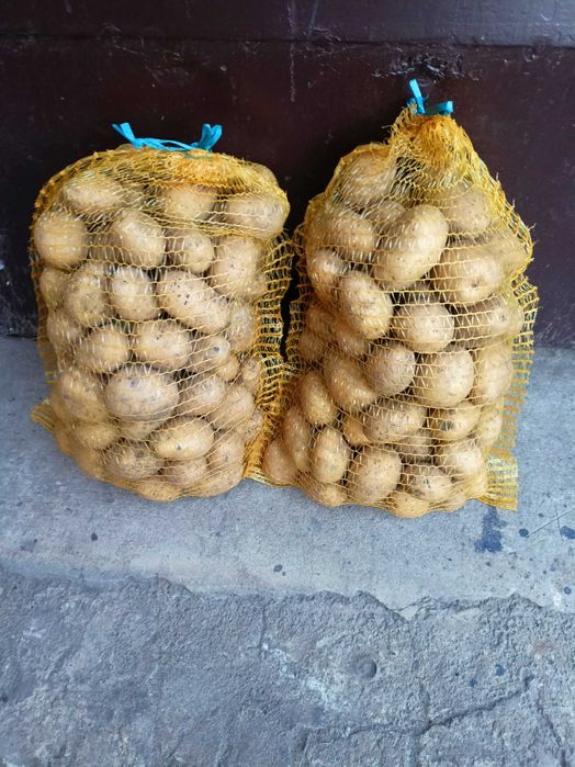 Ziemniak  Lila jadalny/sadzonka 1.5 kg