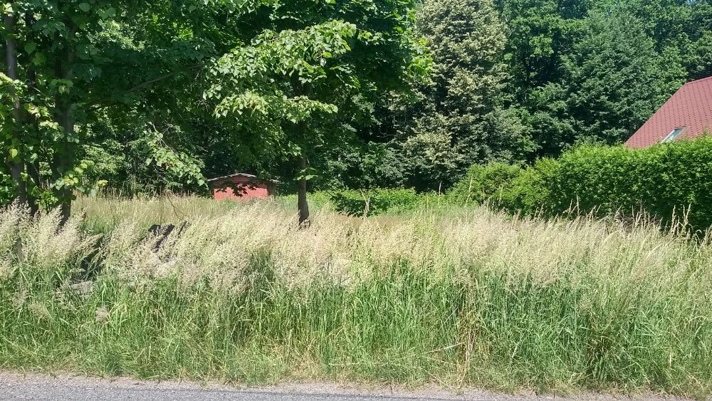 Mulczer czyszczenie działek karczowanie koszenie trawy drzewek wycinka