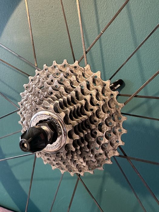 Koła Campagnolo Scirocco