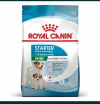 Royal Canin Mini Starter 8 кг