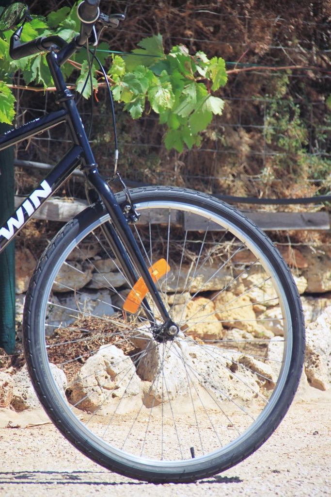 Bicicleta Btwin Riverside 100 (29'-M)