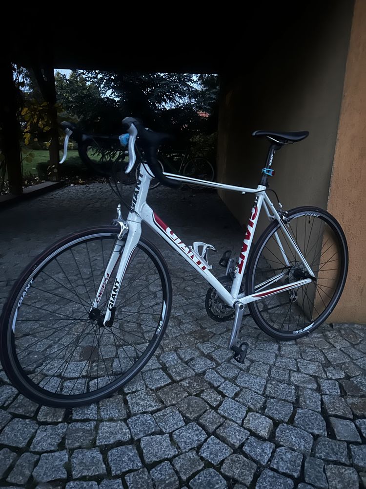 Kolarka giant defy