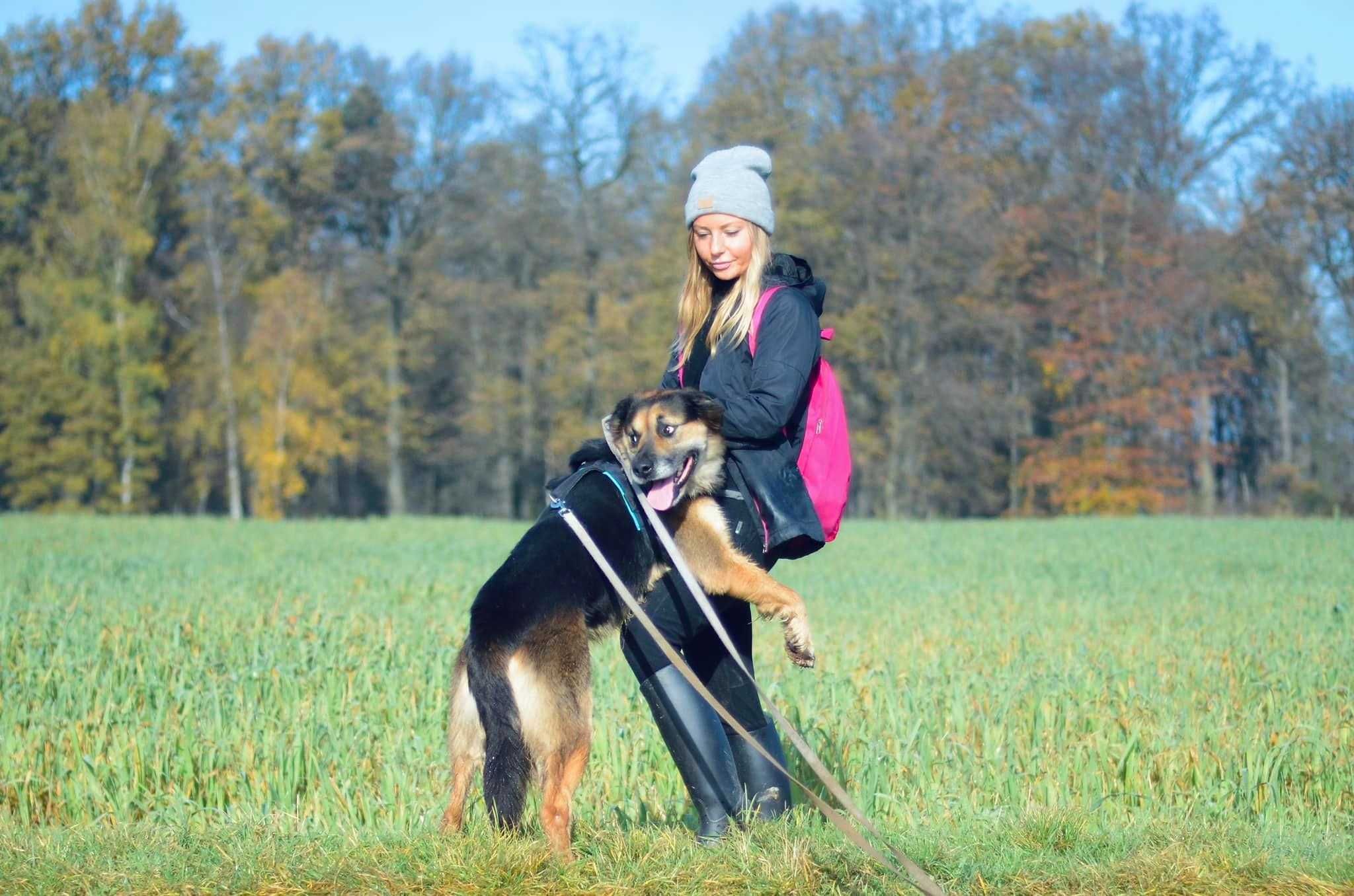 Kornel szuka nowej rodziny ADOPCJA