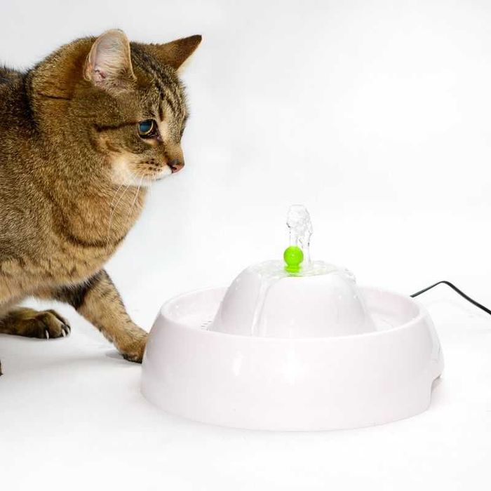 Neptun poidełko fontanna z filtrem + 4 końcówki