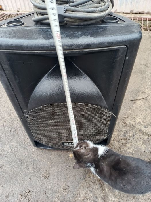 Продам колонку Big большую 350w