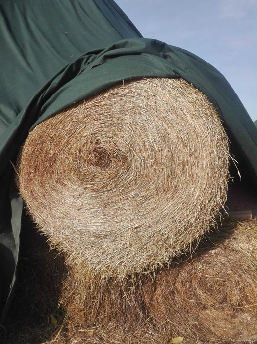 Siano, słoma, ściółka