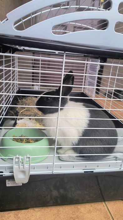 Sprzedam duża klatkę