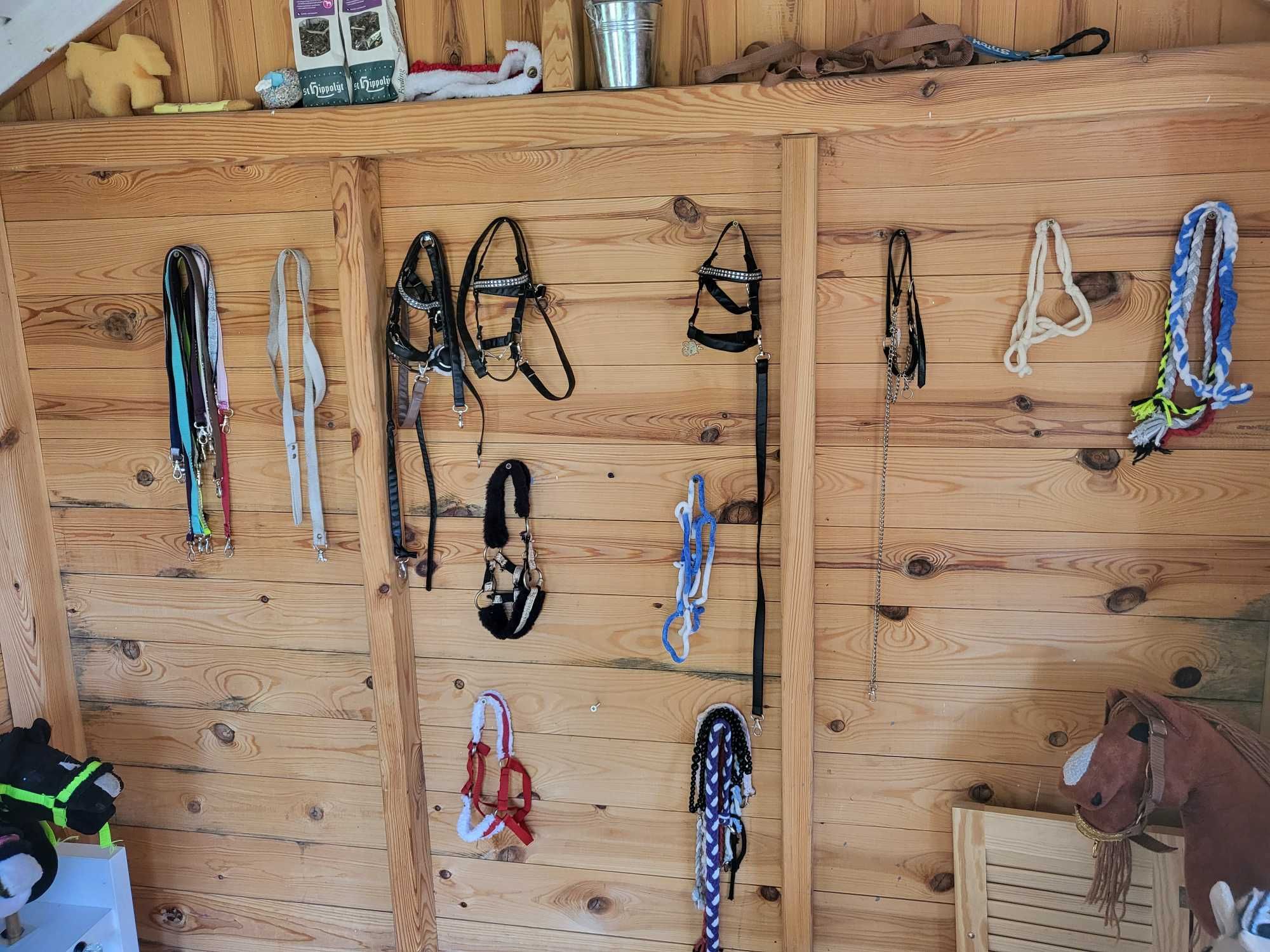 Nałuka jazdy na hobby horse