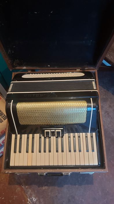Акардеон Волна в рабочем состоянии