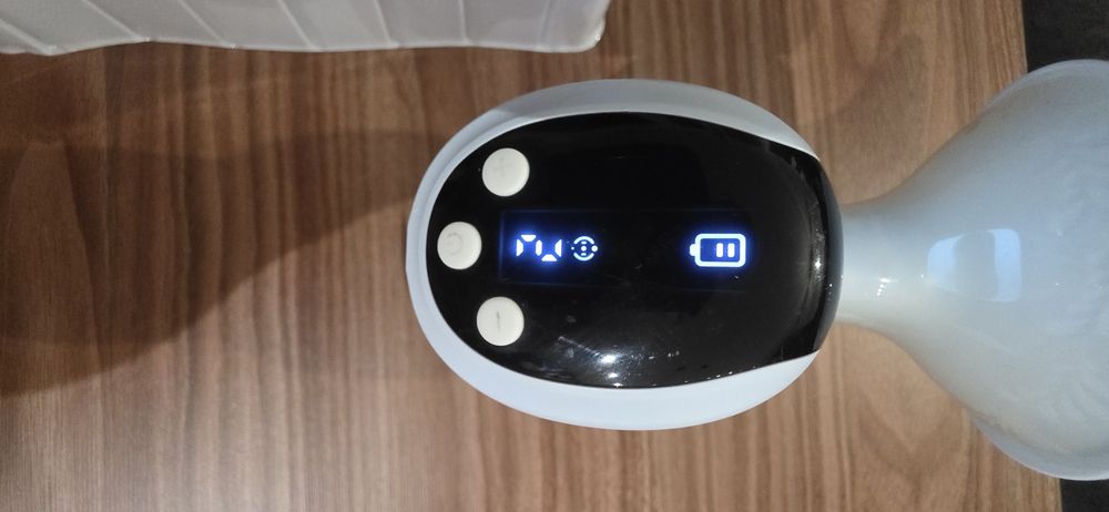 Laktator Neno Angelo