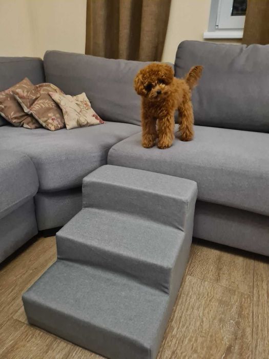 Сходинка світло-сірого кольору