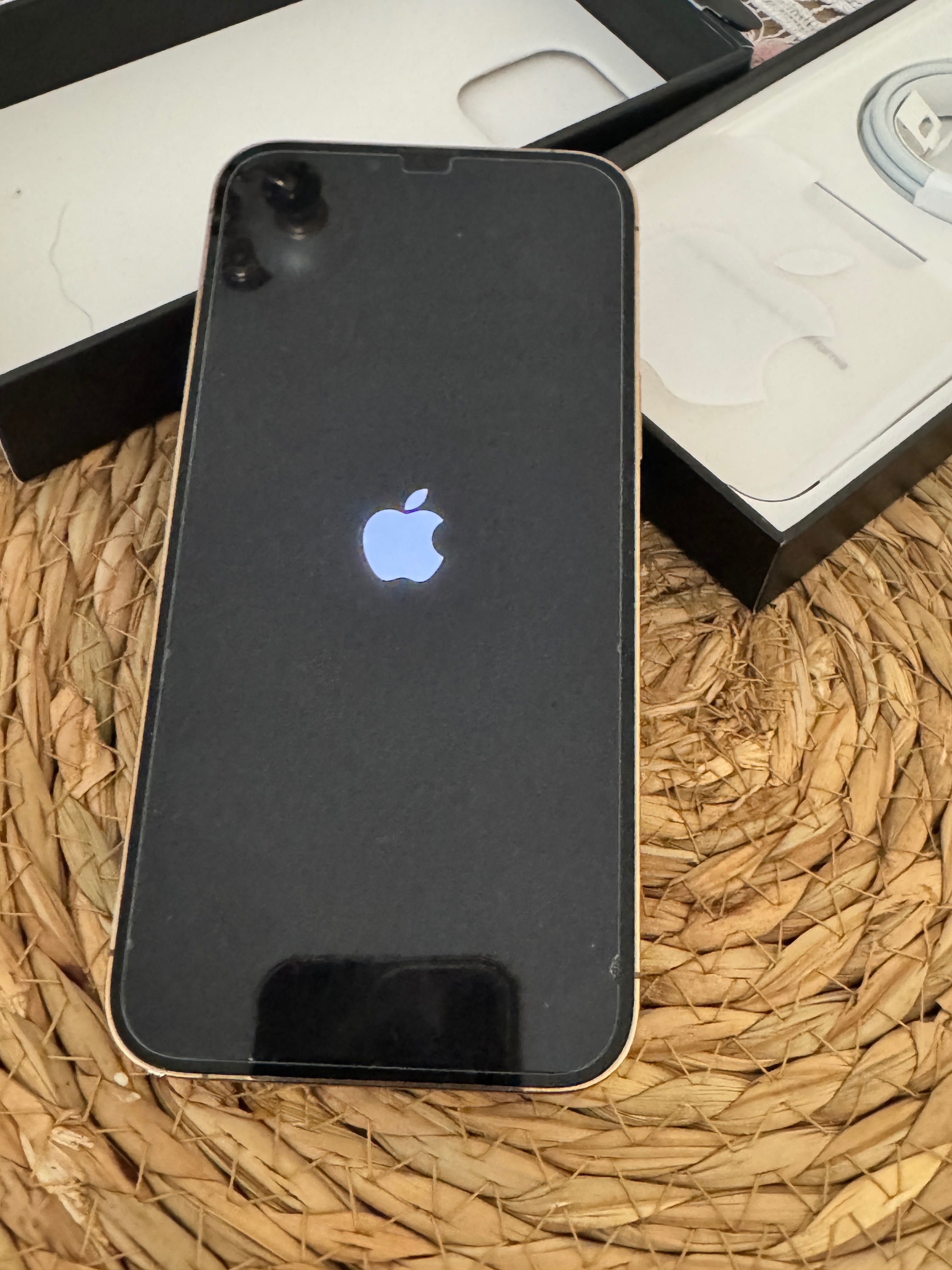 iPhone 13 Pro Max 1 Tb gold