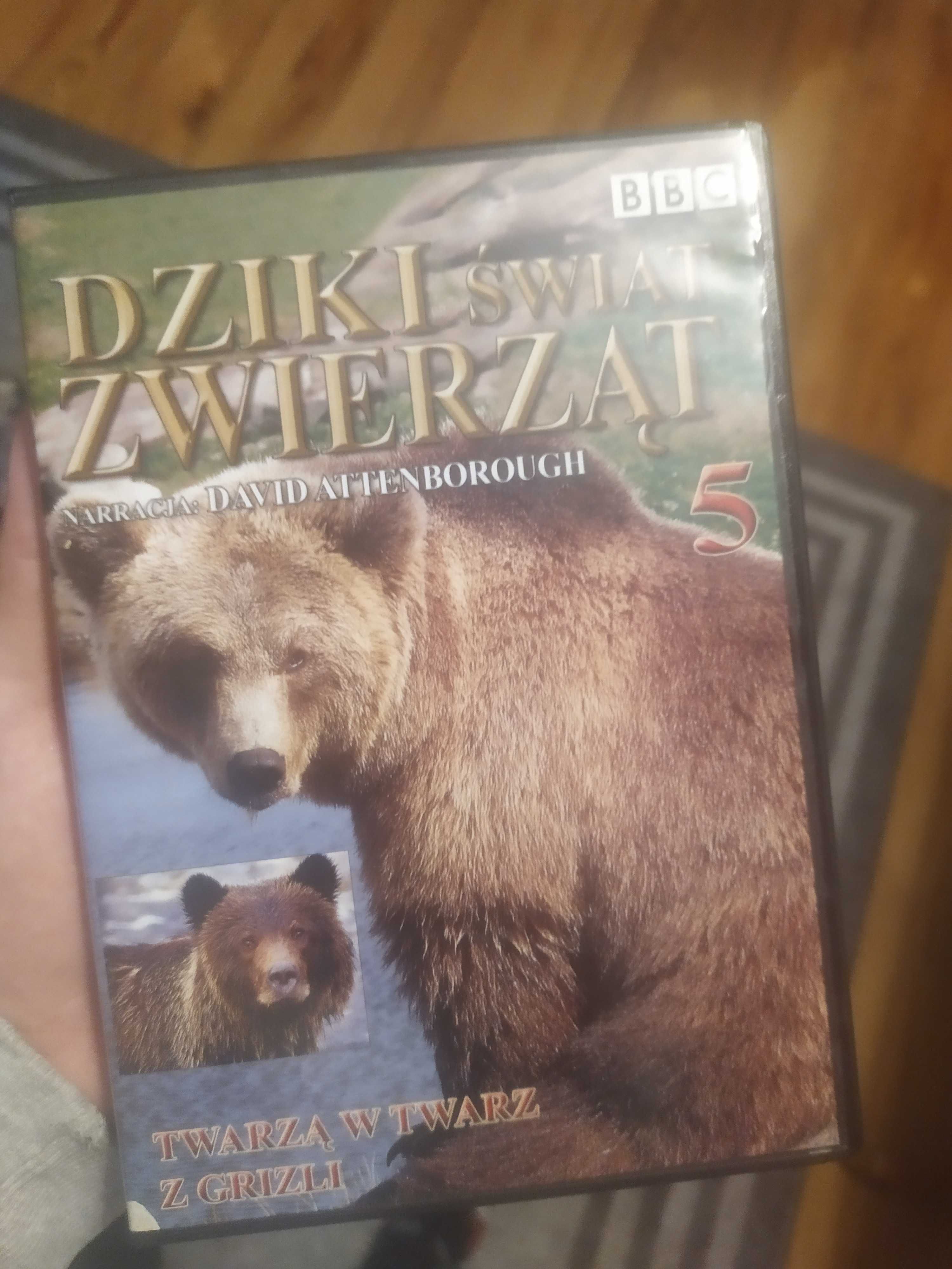 Płyta DVD Dziki Świat Zwierząt 5 BBC Twarzą w twarz z Grizli
