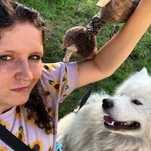 Konsultacje behawioralne | Szkolenie psa | Behawiorysta |Zoopsycholog