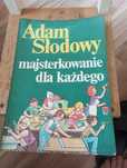majsterkowanie dla kazdego-adam slodowy