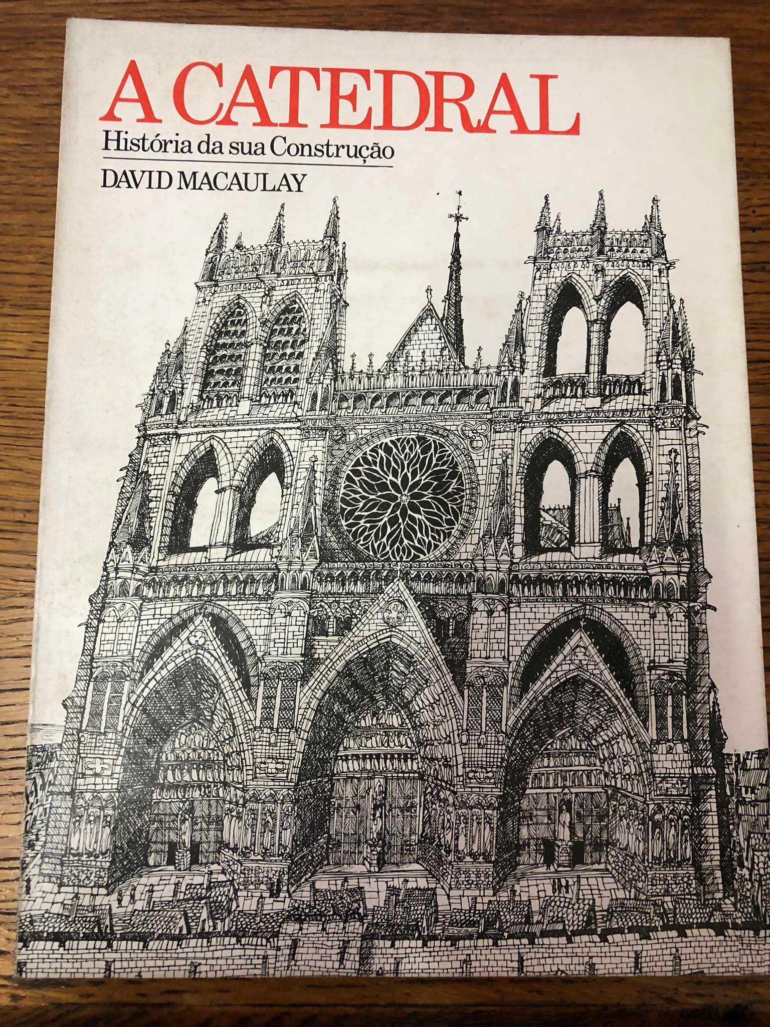 2 livros A Cidade Subterrânea e A Catedral  - David Macaulay