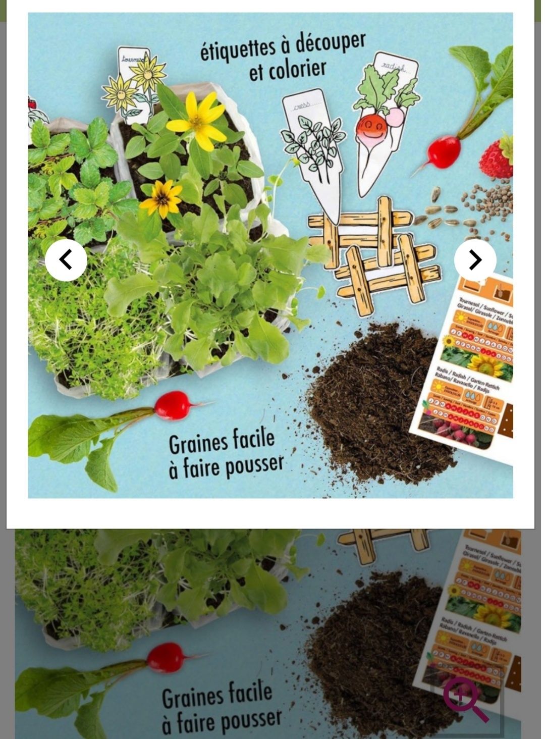 Mini ogródek, zestaw do uprawy dla dzieci