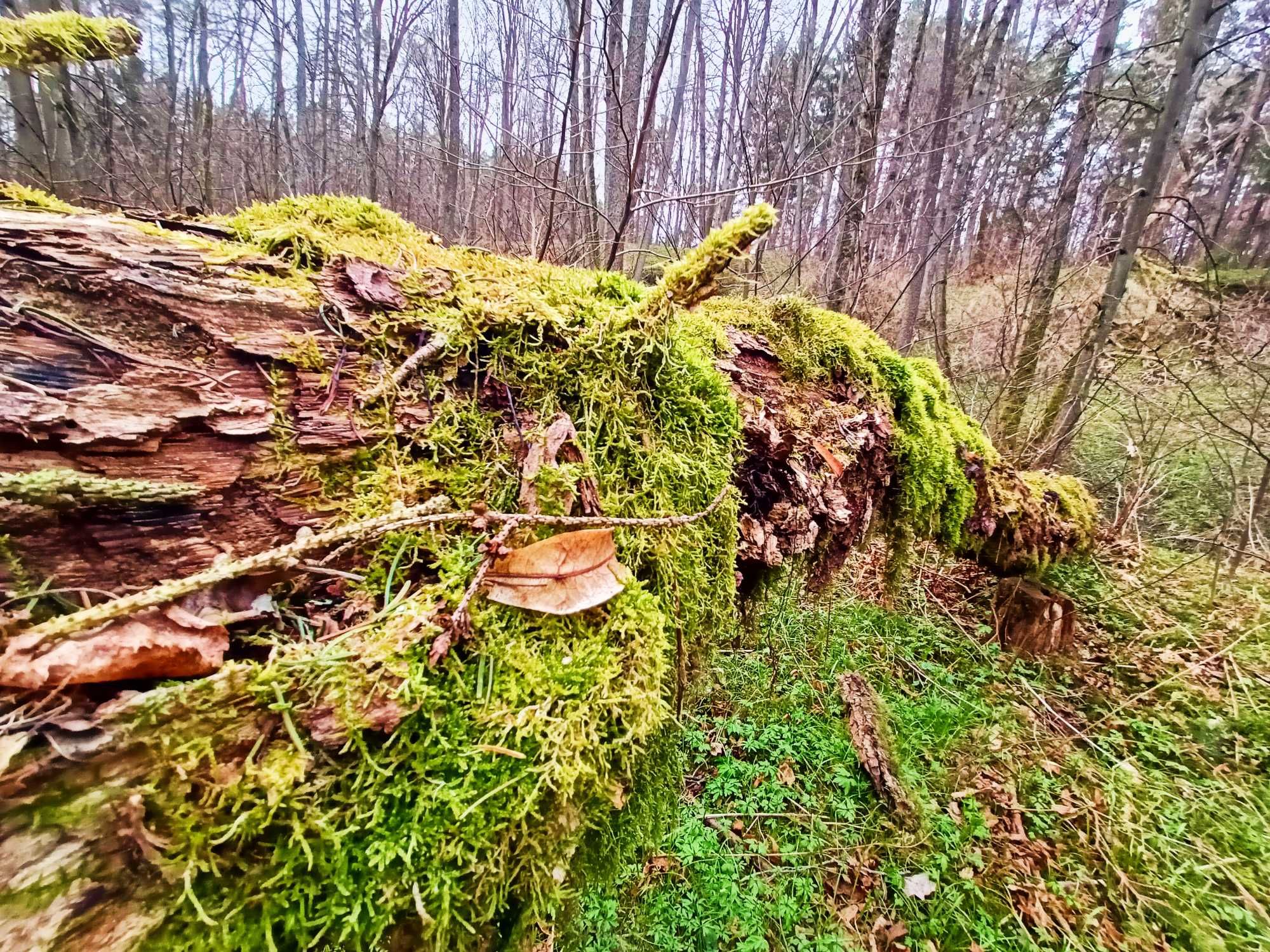 Działka nad Rzeką/Jeziorem