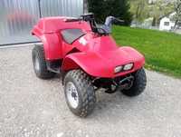 Honda FourTrax 200